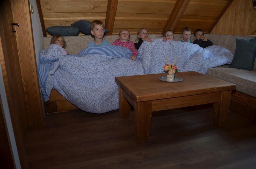 Ubytovani Na Vejminku Rtyne v Podkrkonosi Luaran gambar