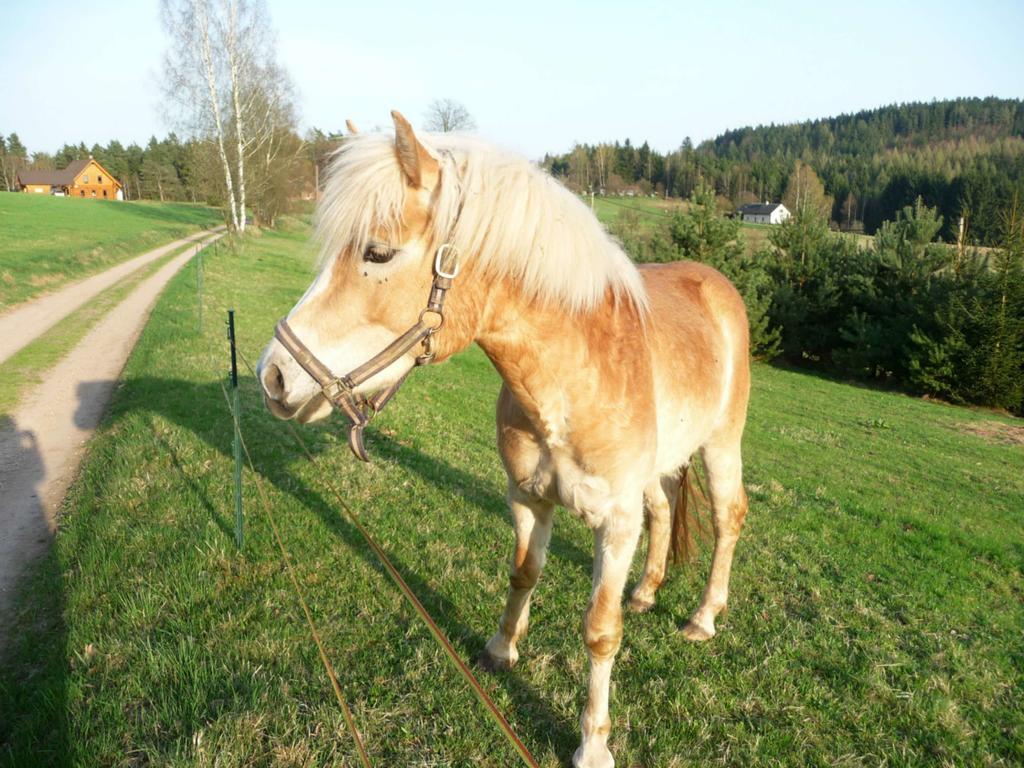 Ubytovani Na Vejminku Rtyne v Podkrkonosi Luaran gambar